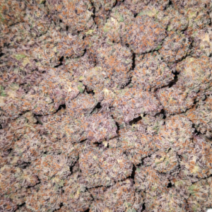Gelato Runtz Popcorn – OZ